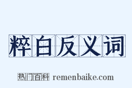粹白反义词是什么意思的图片